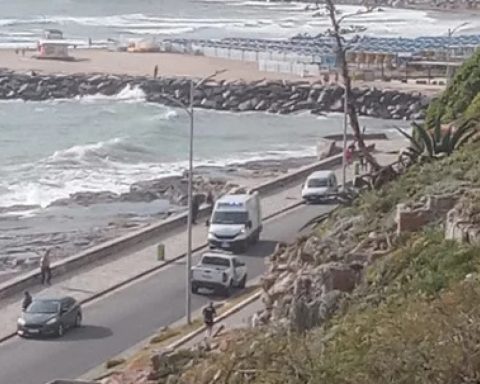 muerto Mar del Plata