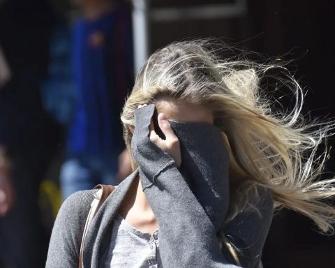 Viento