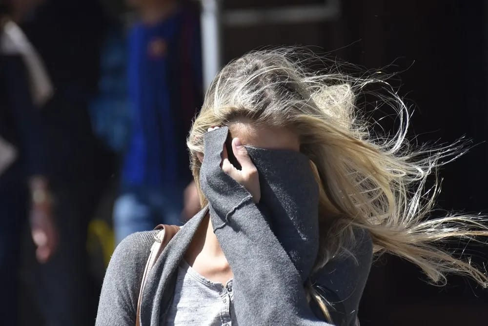 Viento