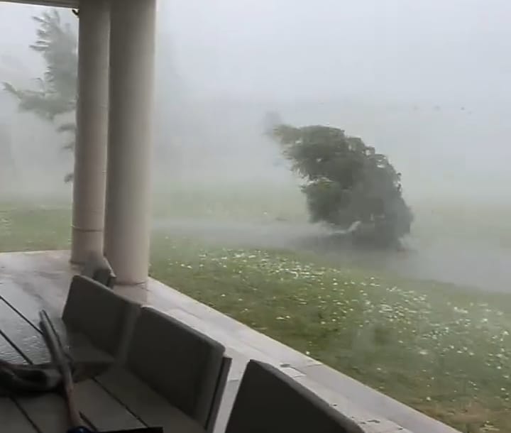 Temporal Villa Mercedes