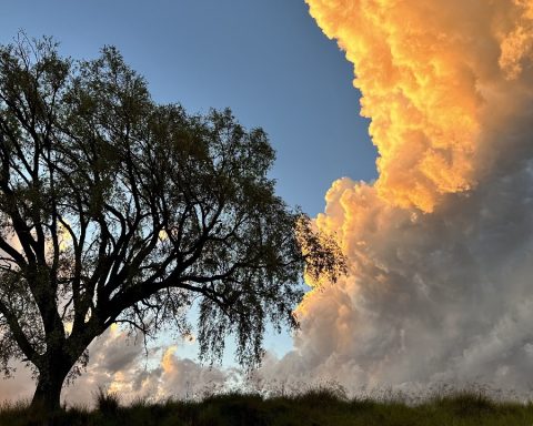 clima