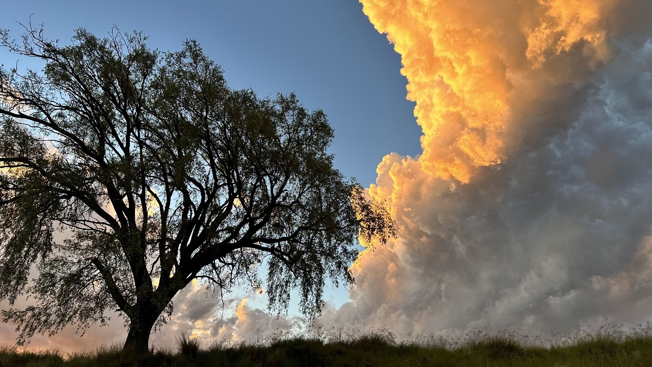 clima