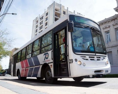 transpuntano