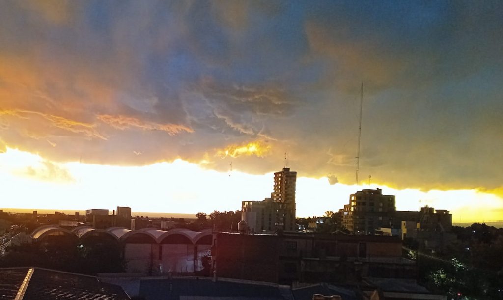 WhatsApp Image 2026 03 13 at 12.39.08