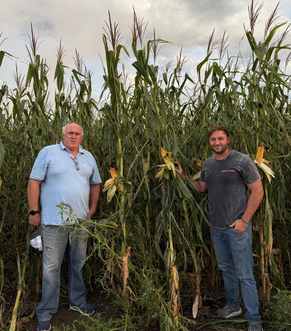 campo